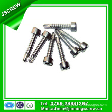 Customized M3 Torx Head Self Drilling Screw